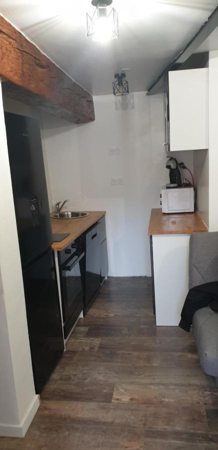 Charmant Petit Studio Proche Depart Gr20 卡伦扎纳 外观 照片
